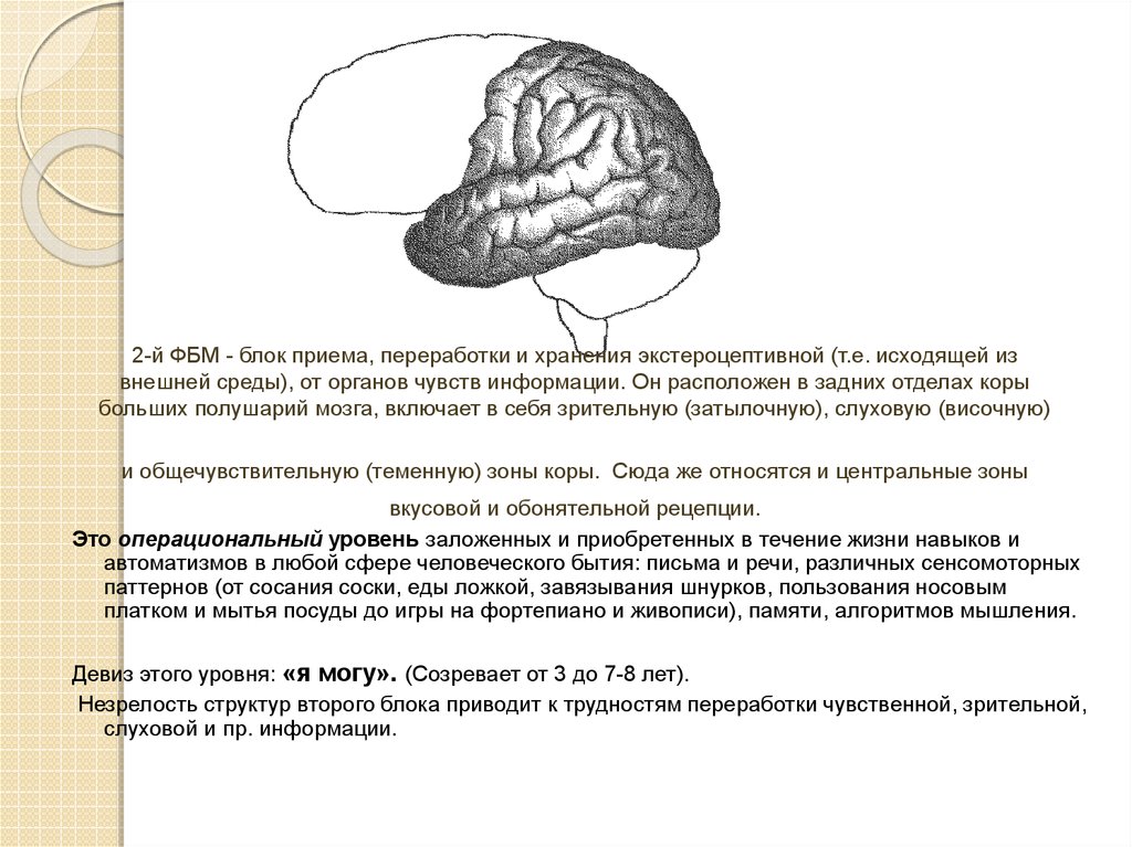 Метод замещающего онтогенеза презентация