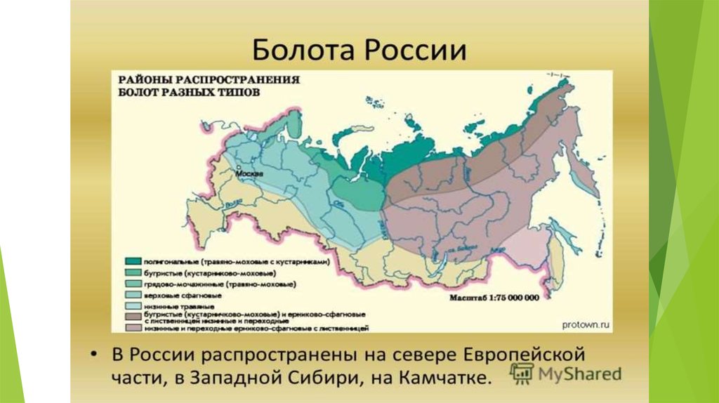 Значительную территорию россии занимает