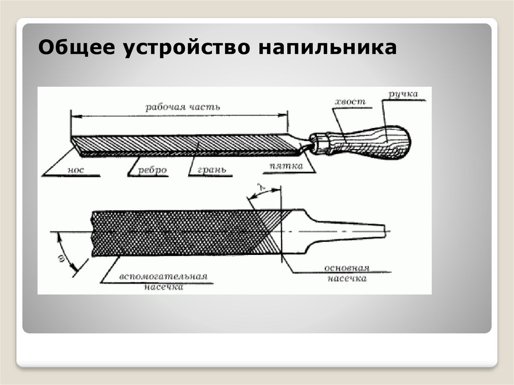 Общие приспособления. Основные части напильника. Строение напильника. Напильник эскиз. Составные части напильника.