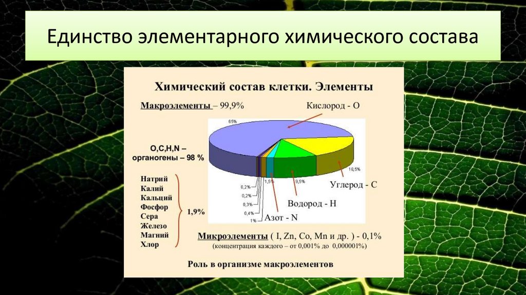 Физико химическое единство живого вещества. Химический состав живых организмов. Единство элементарного химического состава.