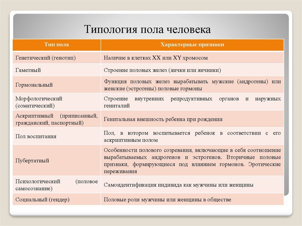 4 типа пола. Виды человеческого пола. Виды полов человека. Типология пола человека. Какие виды полов бывают у людей.