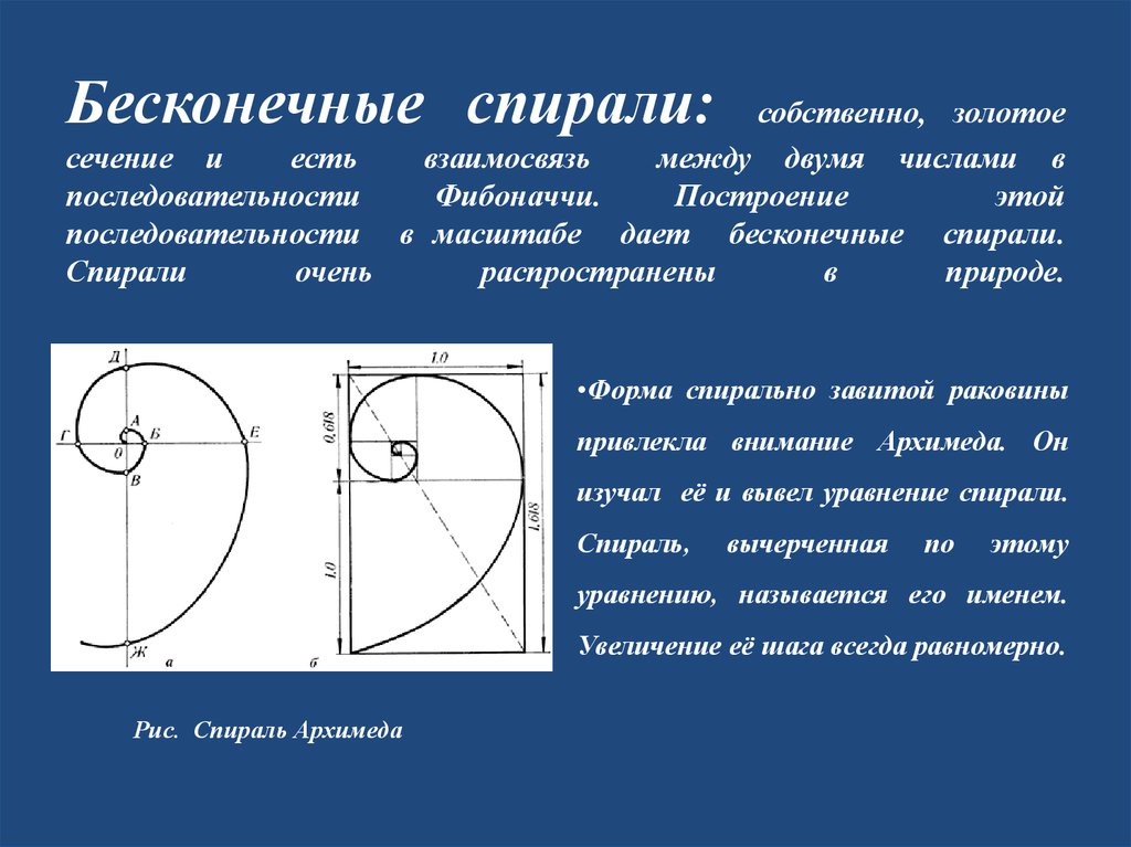 Золотое сечение екатеринбург