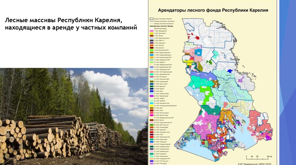 Республика карелия отрасли. Экономическая карта Республики Карелия. Арендаторы лесного фонда Республики Карелия. Республика Карелия промышленность карта. Карта арендованных лесных участков Карелии.