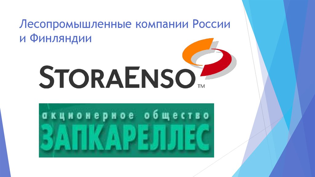 Лесопромышленные компании России и Финляндии