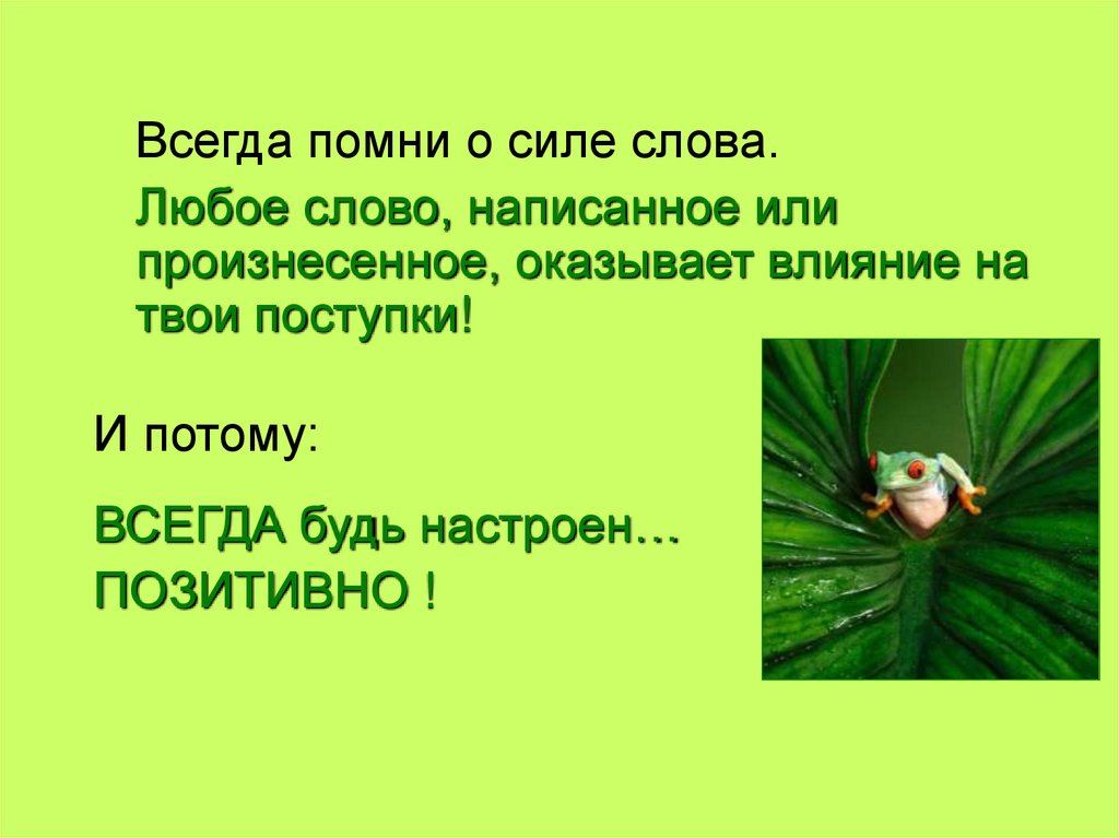 Всегда положительно. Притча о силе слова. Притча про жабу и девочку. Всегда слово.