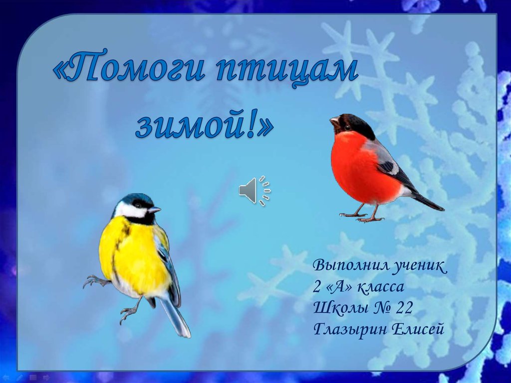 Акция помоги птицам зимой. Поможем птицам. Шаблоны для презентаций зима птицы. Фон для презентации зимующие птицы.