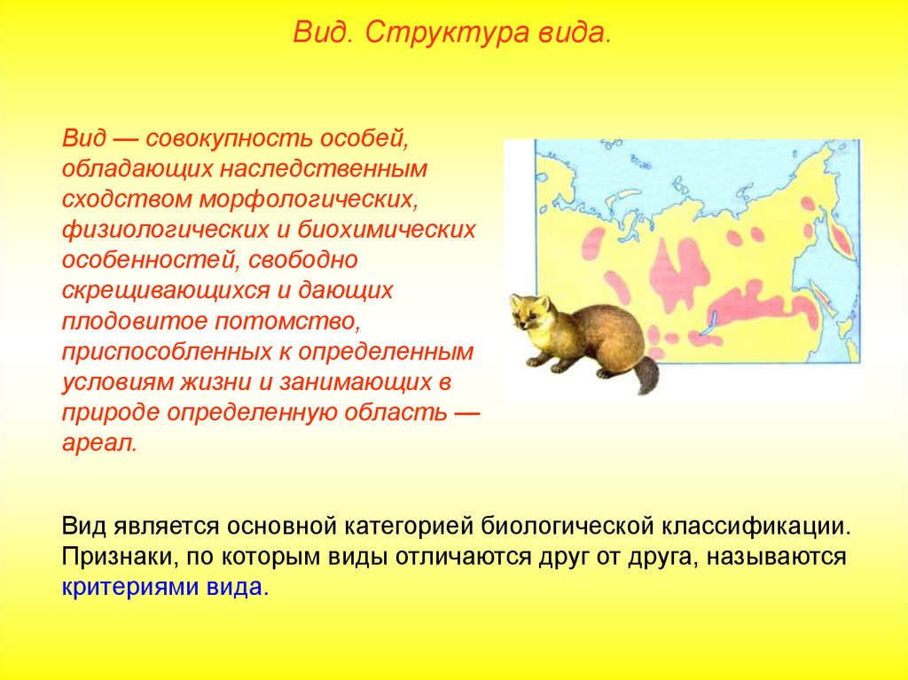 Вид в природе занимает определенный ареал. Это совокупность особей обладающих наследственным сходством. Вид совокупность особей обладающих. Вид это совокупность особей обладающих сходными признаками.