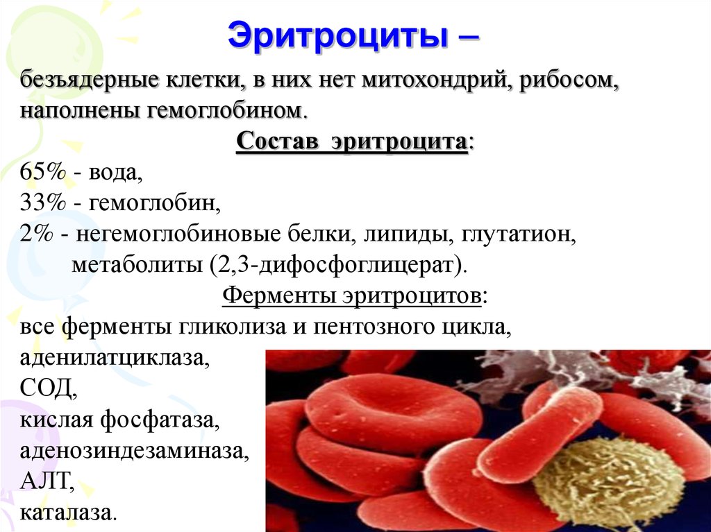Элементы крови содержащие гемоглобин. Эритроциты строение состав и функция. Строение и содержание эритроцитов. Состав крови эритроциты функции. Эритроциты. Роль гемоглобина..