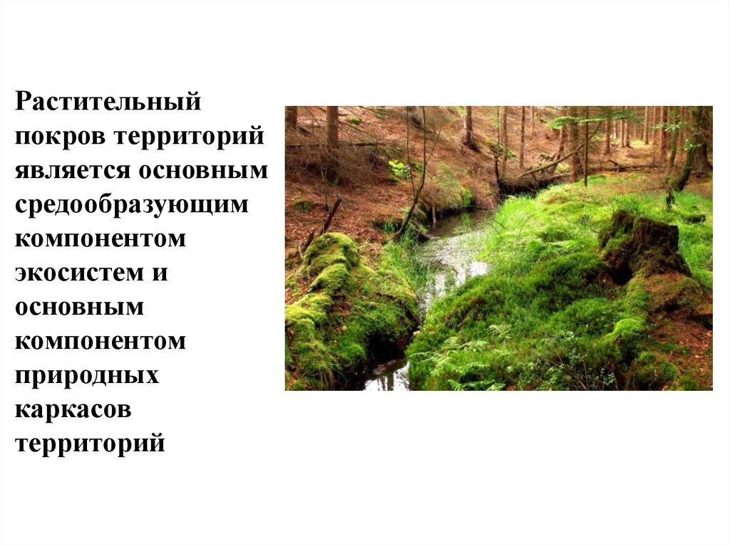 Растительный покров территорий является основным средообразующим компонентом экосистем и основным компонентом природных