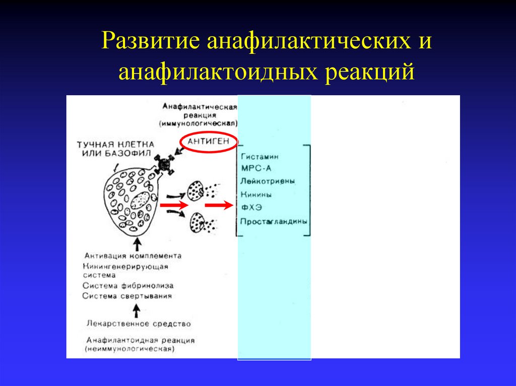 Анафилактическая реакция