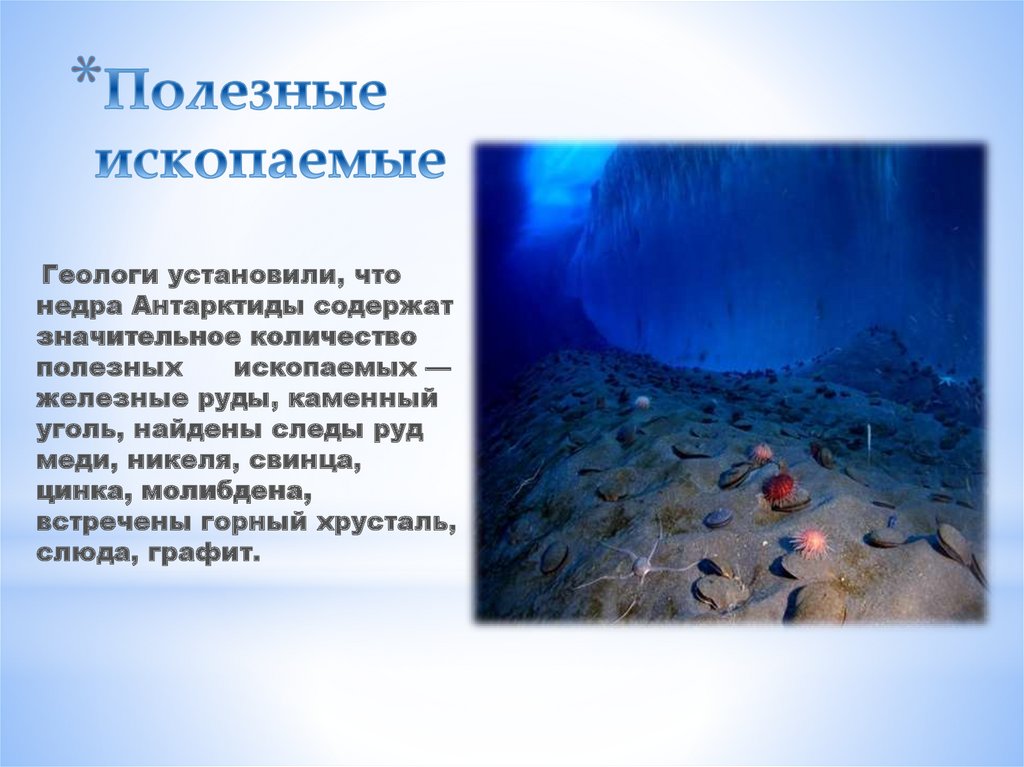 Разработайте проект практического использования природных ресурсов антарктиды подготовьте сообщение