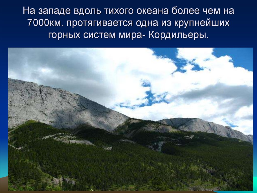 Кордильеры протянулись. Самая высокая точка Кордильер. Кордильеры умеренного пояса особенности. Высота горы Кордильеры. Относительная высота Кордильеры.