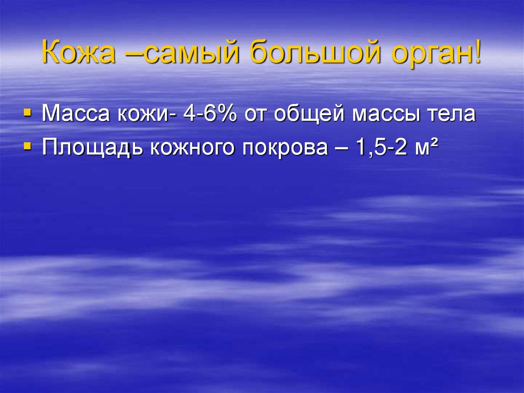 Площадь кожного Покрова. Масса кожи. Кожа самый тяжёлый орган.