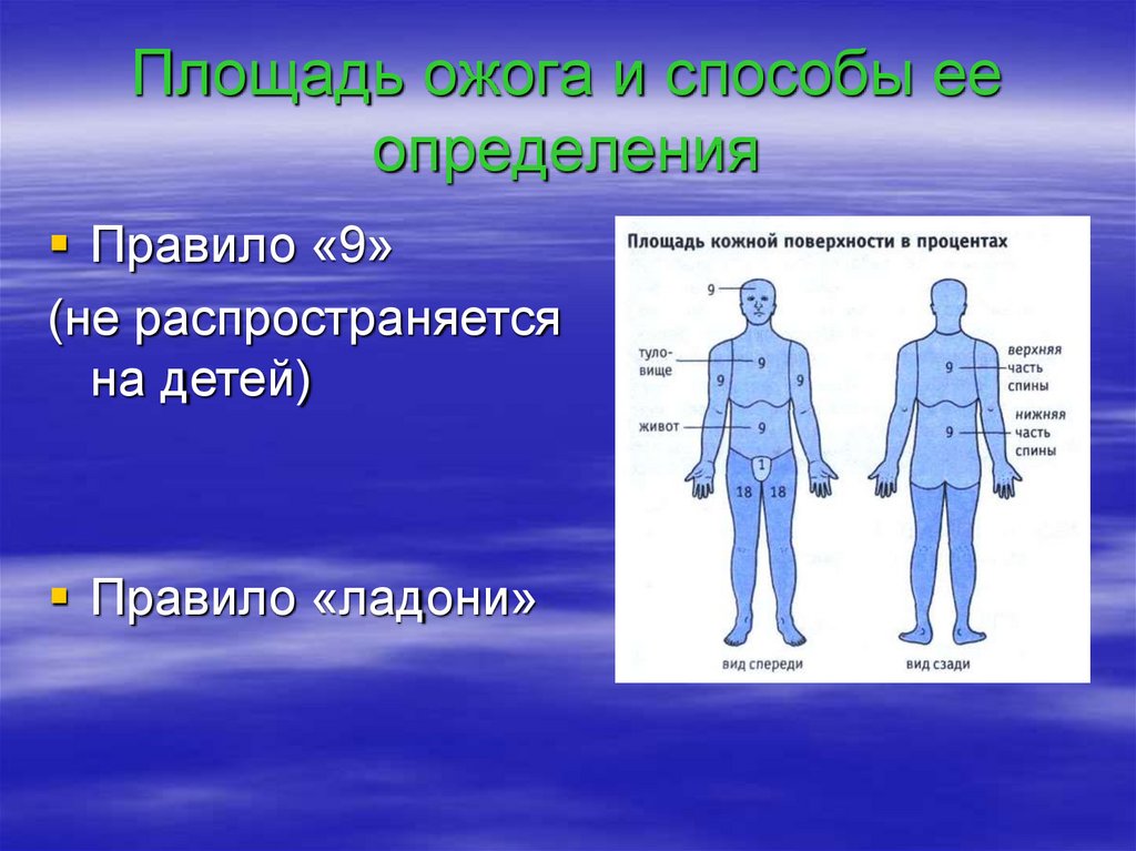 Площадь ожога. Процент ожоговой поверхности. Площадь ожога спины в процентах. Площадь кожной поверхности в процентах.