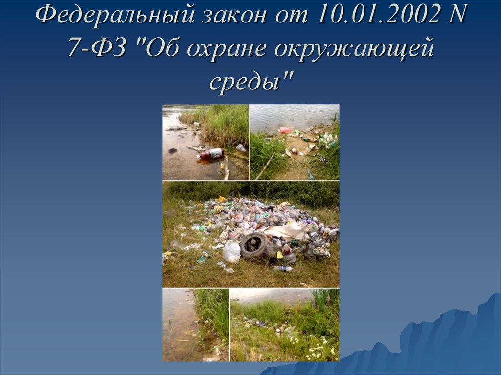 Федеральный закон от 10.01.2002 N 7-ФЗ "Об охране окружающей среды"
