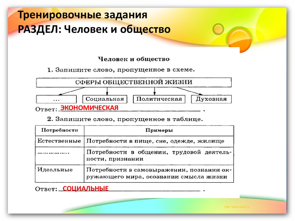 Человек и общество егэ обществознание презентация