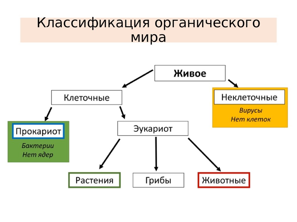 Классификация жизни