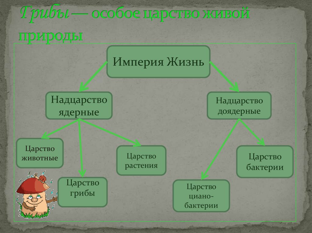 Гриб относится к живой природе