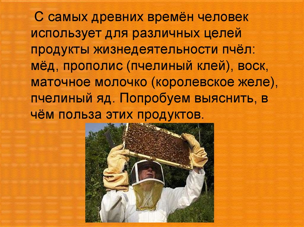 Что значит польза. Польза пчел в жизни человека. Роль пчелы в жизни человека. Медоносная пчела роль в жизни человека. Значение пчел в жизни человека.