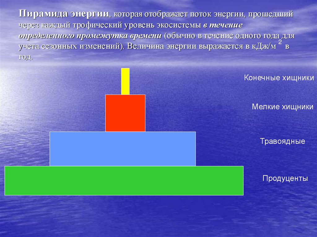 Презентация экологические пирамиды биология 11 класс