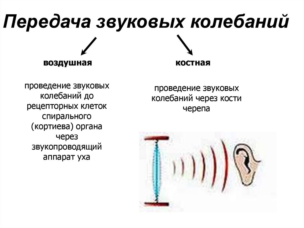 Канал передачи звука