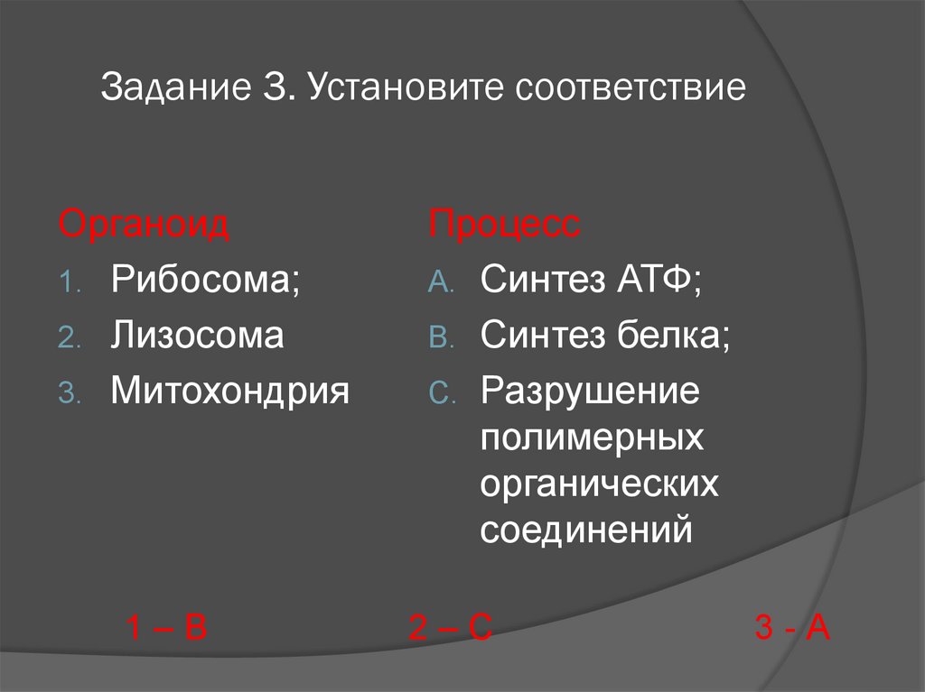 Установите соответствие 4 1. Задание 3 установите соответствие:. Установите соответствие между ст лизосом и митохондрий.