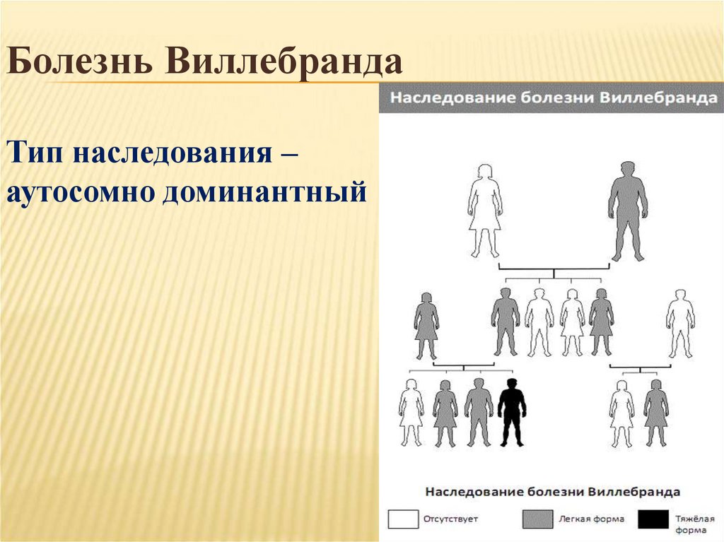 Заболевания органов кроветворения у детей презентация