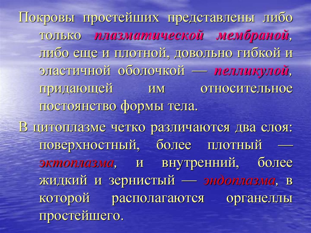 Представить какую либо. Покровы простейших. Покровы простейших животных. Покров тела Подцарство простейшие. Строение покровов простейших.