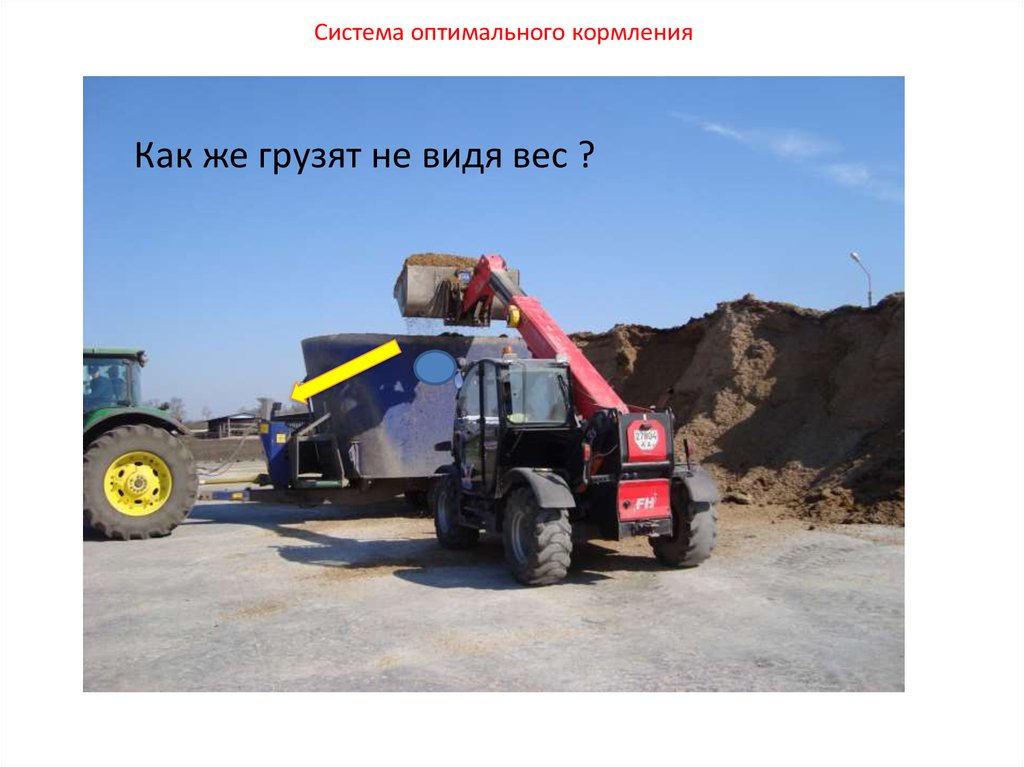 Система оптимального кормления