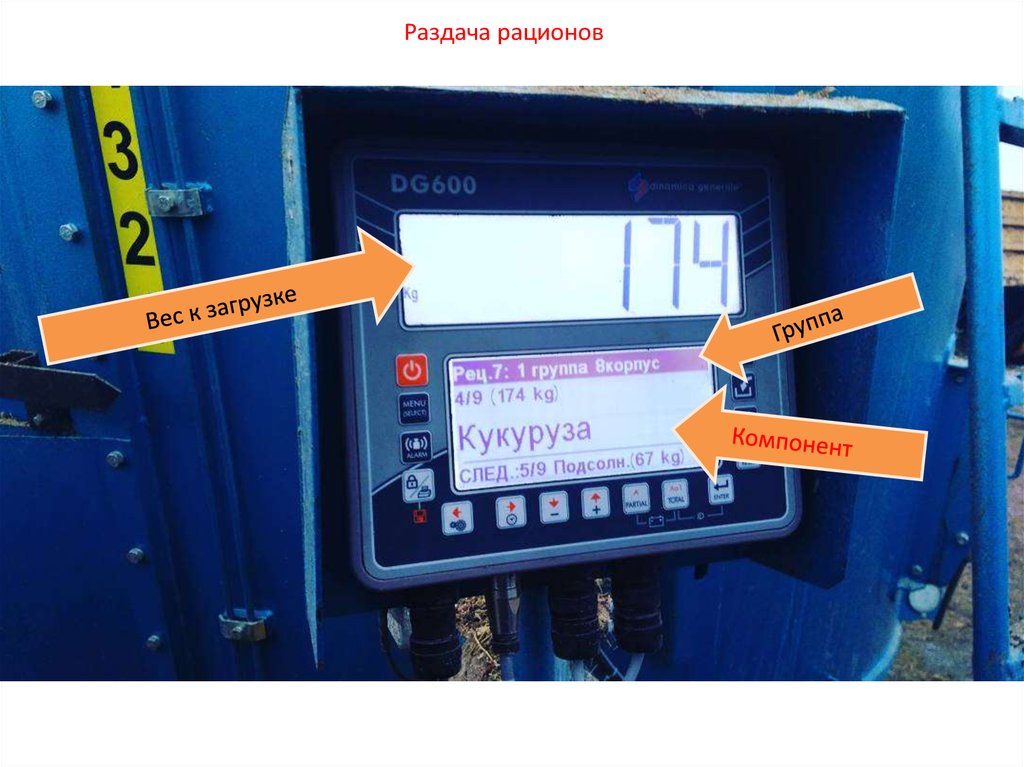 Раздача рационов