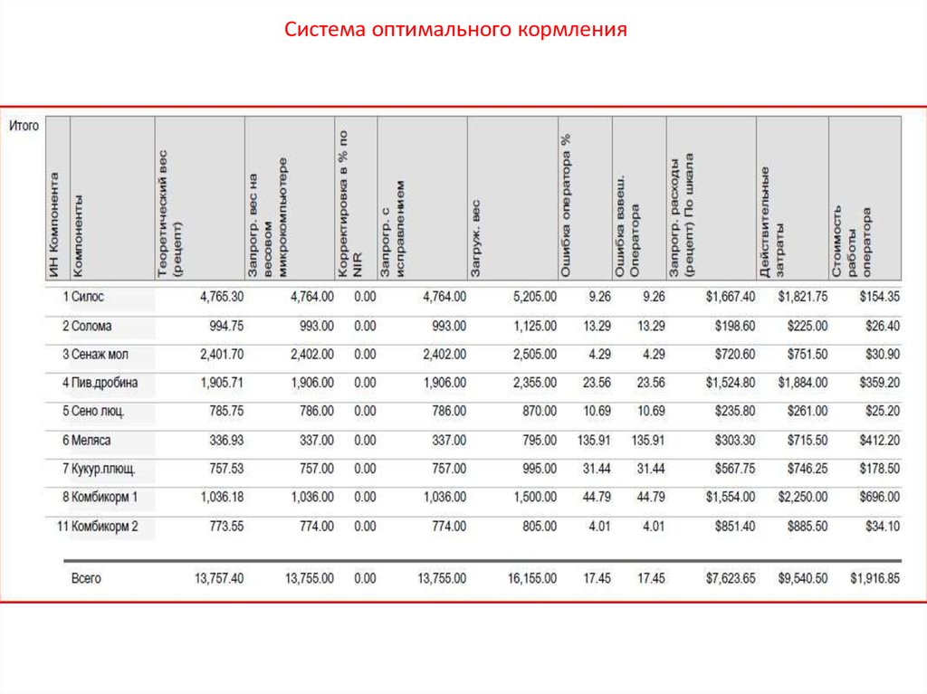 Оптимальная система