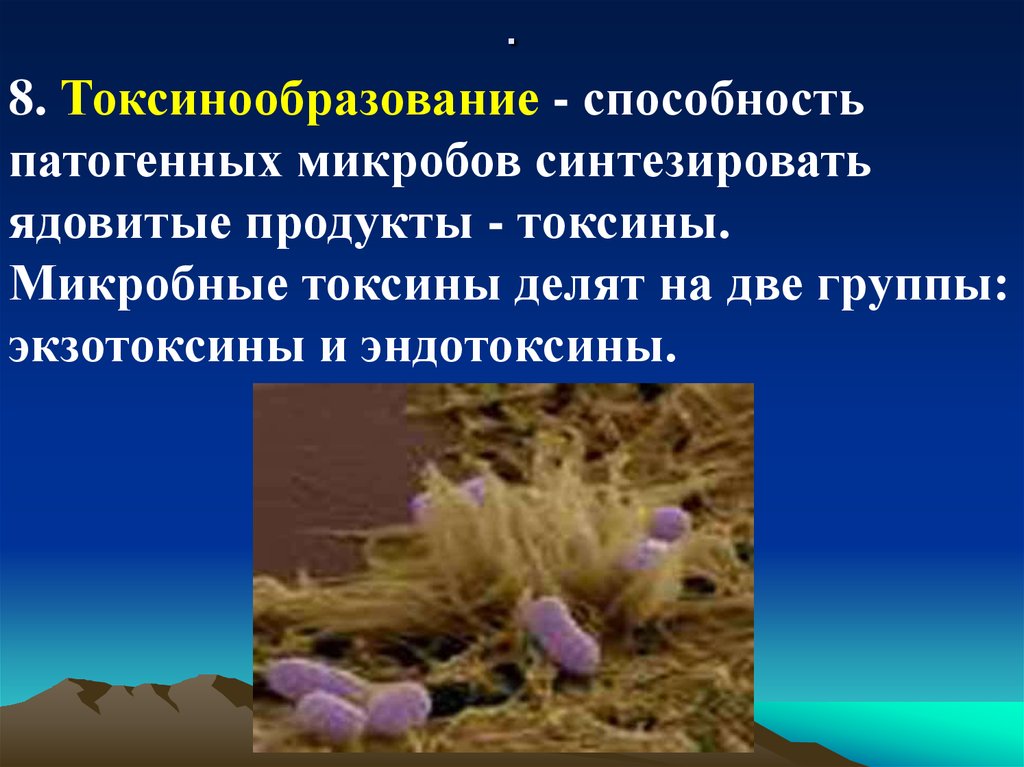 К группе патогенных микроорганизмов относятся