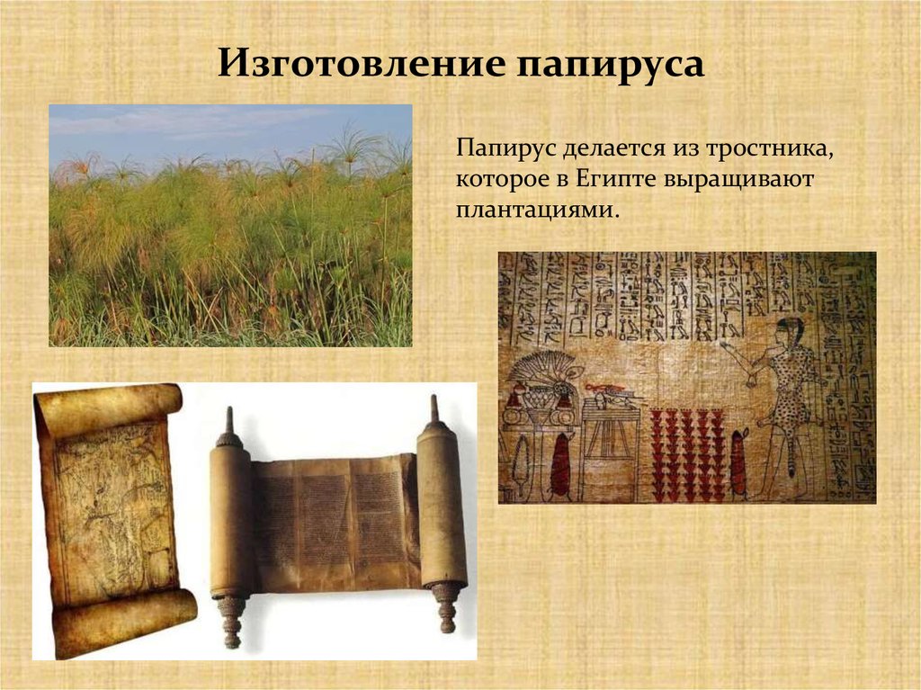 Изготовление папируса