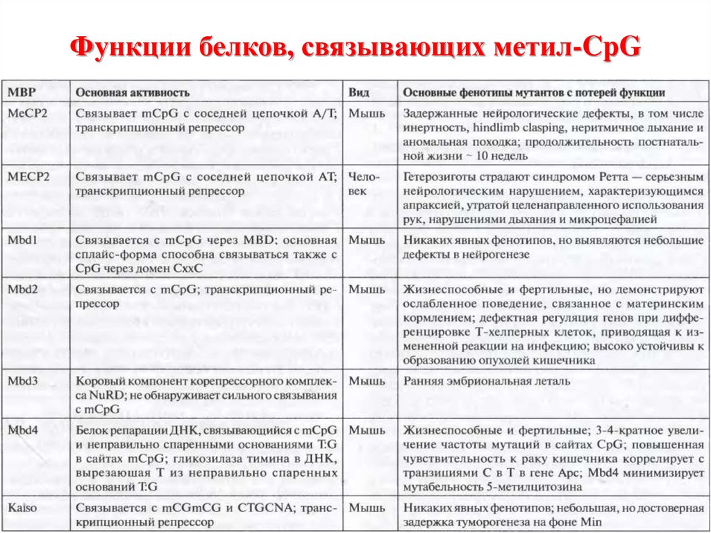 Основная функция белков. Функции белков таблица 9 класс биология. 10 Функций белка. Функции белков таблица 10. 4 Функции белков.