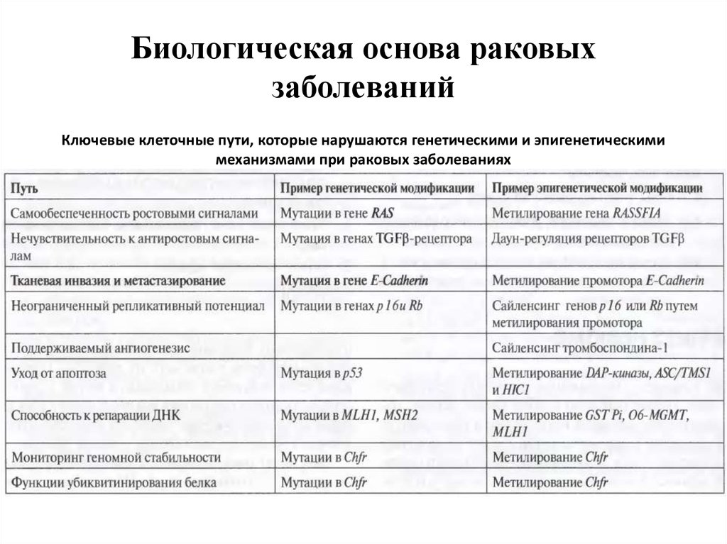 Эпигенетическая теория стадии. Эпигенетические механизмы регуляции генов. Механизмы эпигенетического регулирования экспрессии генов. Эпигенетическое наследование примеры. Эпигенетическая теория патологическая анатомия.