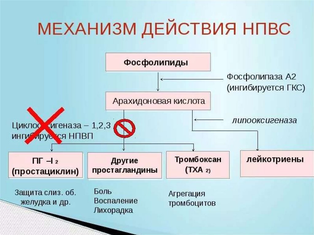 Механизм действия нпвс схема