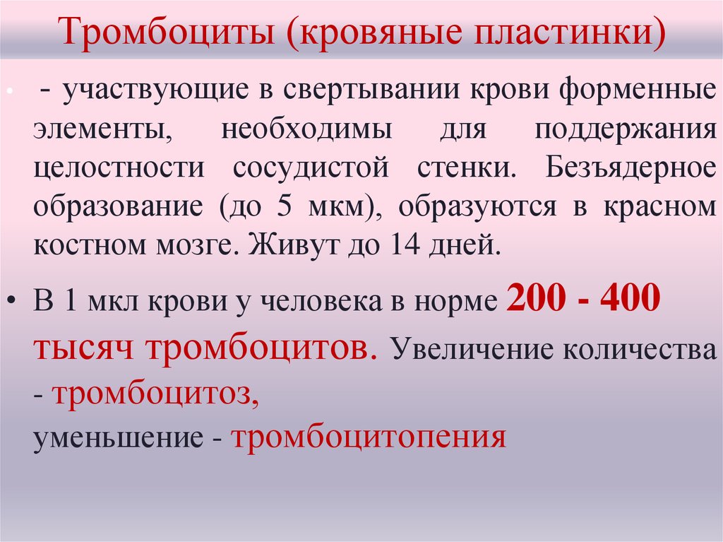 Необходимый элемент. Форменные элементы, участвующие в свертывании крови. Кровяные пластинки участвующие в свертывании крови. Форменные элементы крови, участвующие в свертывании крови -. Элементы крови необходимые для поддержания сосудистой стенки.