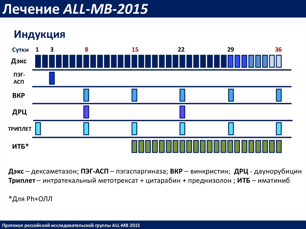 Протоколы лечения лейкозов. Протокол Алл МВ 2015. Протокол МБ – 2015. Берлинский протокол при лимфобластных лейкозах. Протокол all MB 2015 У детей.