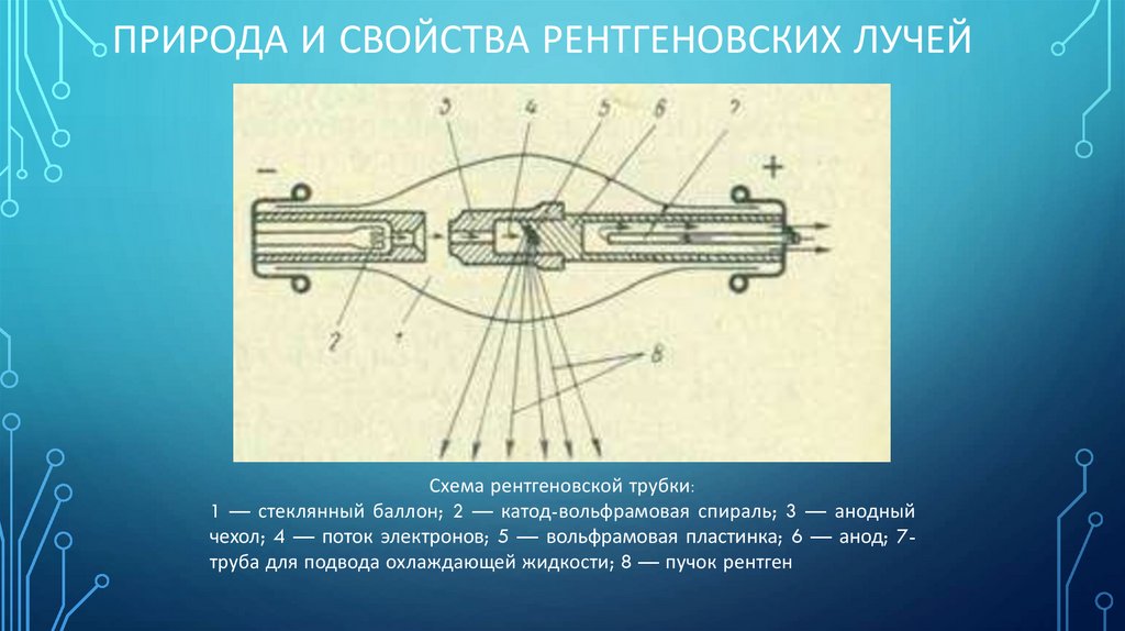 Рентгеновские лучи их природа и свойства презентация