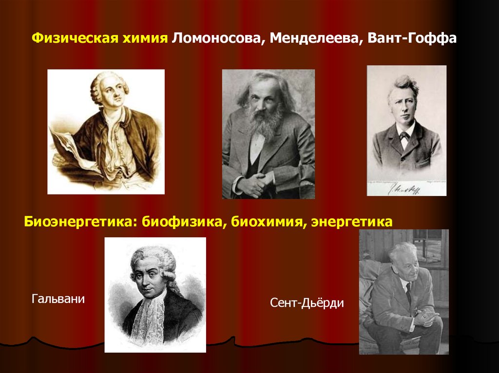 Физик химия. Физическая химия Ломоносова. Физическая химия Ломоносова картинки. Ломоносов биофизика. Ломоносов биохимия.