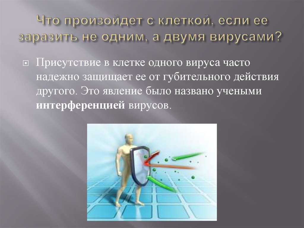 Что произойдет с клеткой, если ее заразить не одним, а двумя вирусами? 