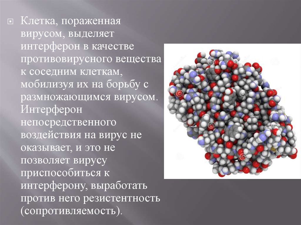 Выделенный вирус. Интерферон и вирус. Интерферон против вирусов. Интерферон выделяют клетки. Интерференция вирусов микробиология.