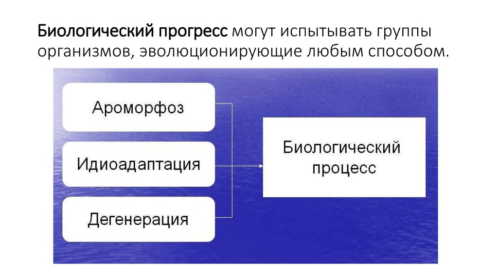 Биологический прогресс групп. Типы эволюции групп. Биологический Прогресс. Признаки биологического прогресса. Биологический Прогресс примеры.