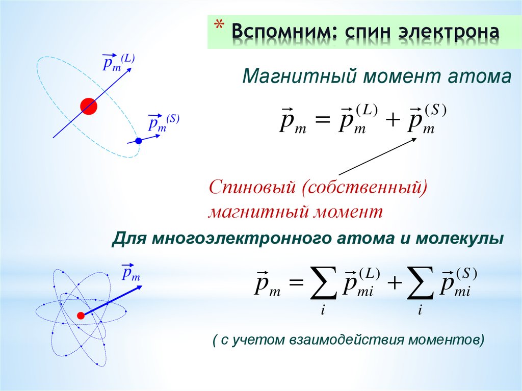 Спин электрона. Спиновый магнитный момент атома. Спиновый механический момент атома. Орбитальный и спиновый магнитные моменты. Спин и собственный магнитный момент электрона.