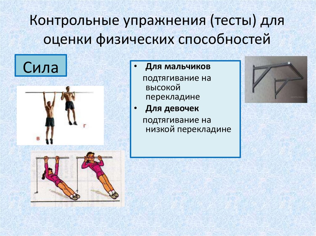 Какие физические качества развивает прыжок. Контрольные упражнения для развития физического качества сила. Физические качества это тест. Тесты для оценки физического развития. Тесты для оценки физических качеств.