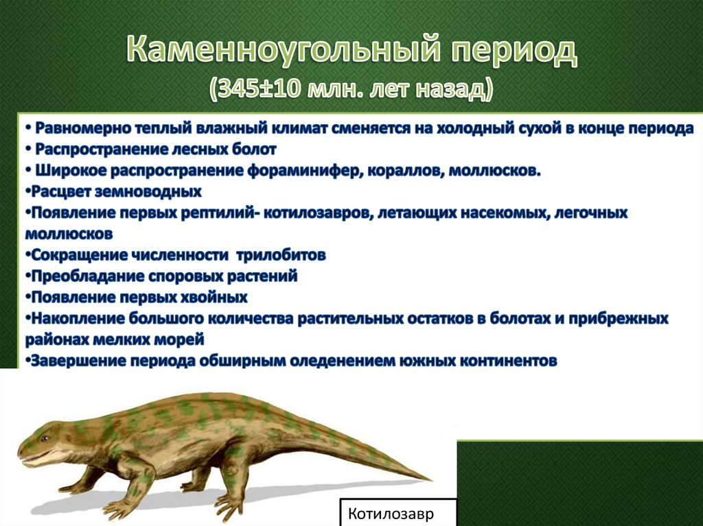 Ароморфоз способствовавший выходу животных на сушу. Ароморфозы карбонского периода. Рептилии каменноугольного периода. Котилозавры. Каменноугольный период земноводные.