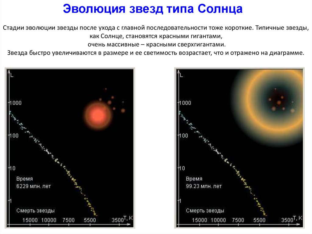 Стадии эволюции звезды после ухода с главной последовательности тоже короткие. Типичные звезды, как Солнце, становятся красными