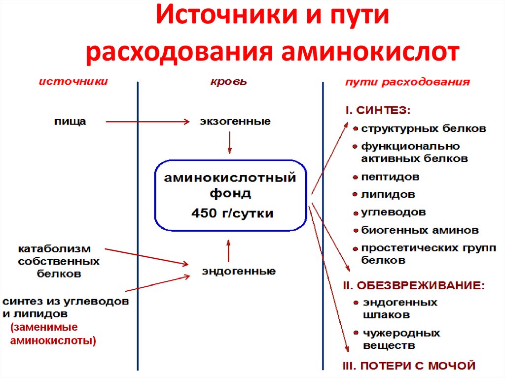 Схема применение аминокислот