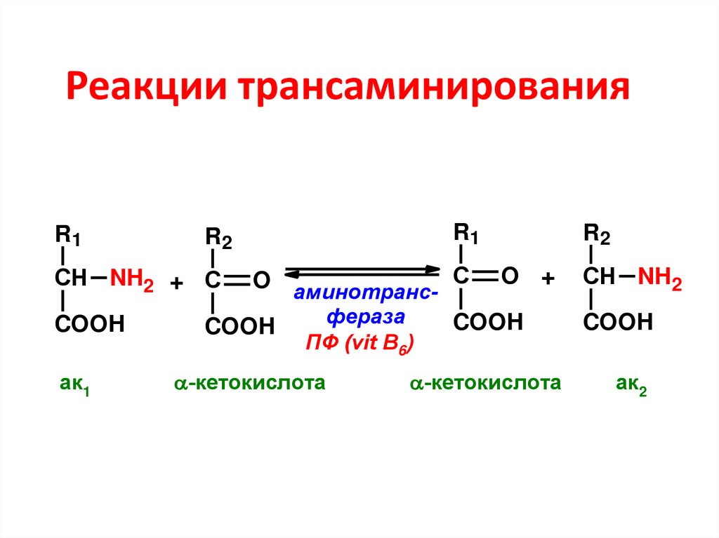 Кетокислоты аминокислот. Трансаминирование триптофана реакция. Трансаминирование АК биохимия. Реакции трансаминирования биохимия. Реакция трансаминирования аминокислот.