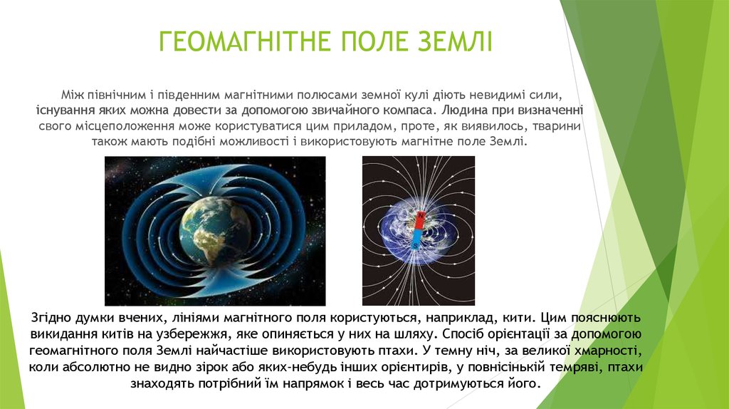 Геомагнитное поле земли. Геомагнитное поле. Физические поля земли. Геомагнитное поле кратко.